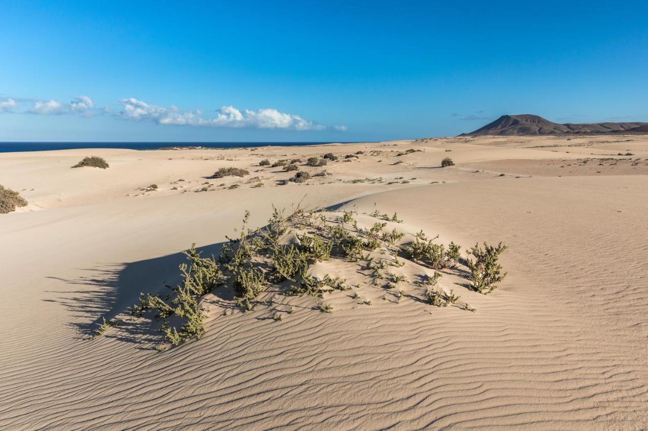 Home2book Ocean Surf House Fuerteventura Villa *